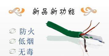 秋葉原QF7739六類(lèi)網(wǎng)絡(luò)線 家庭與工程安防布線的理想選擇